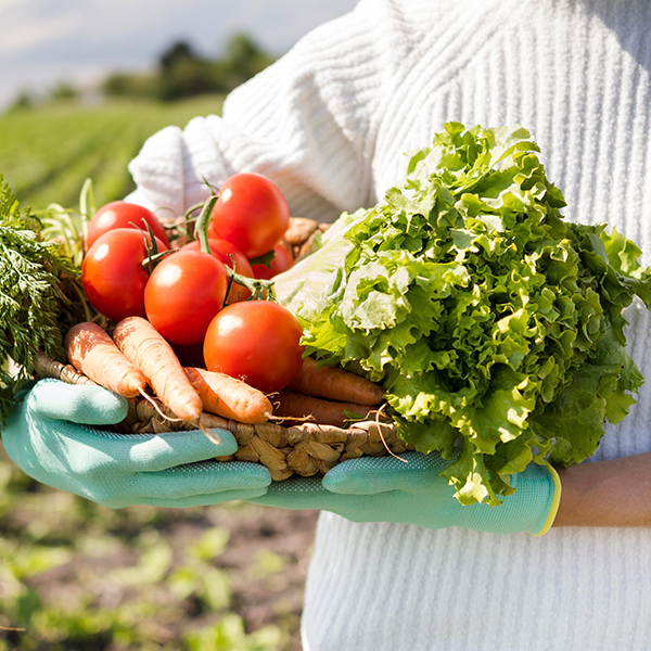 佈局全台產地，與您共享季節的真滋味